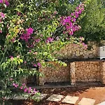 Luxury Beachfront With Pool & Private Parking Villa