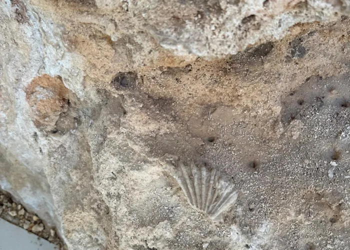 Villa Luxury Beachfront With Pool & Private Parking Ostuni