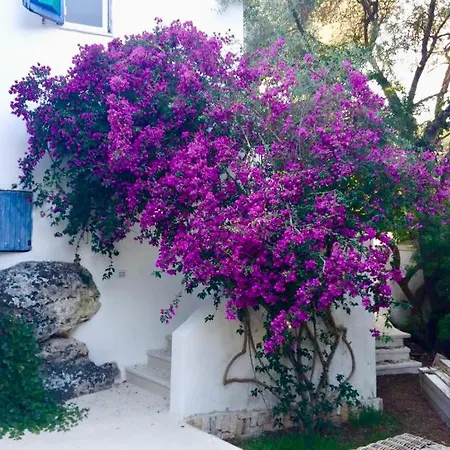 빌라 Luxury Beachfront With Pool & Private Parking *