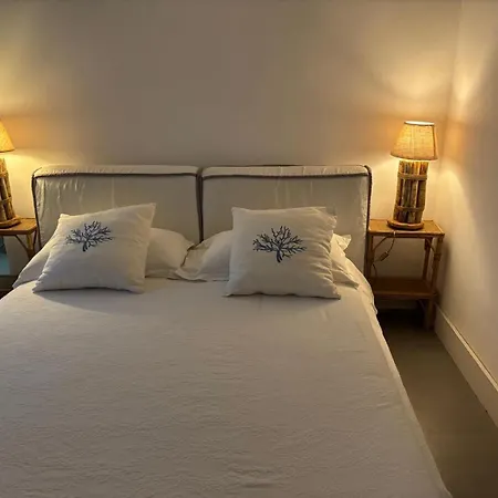 Luxury Beachfront With Pool & Private Parking 오스투니