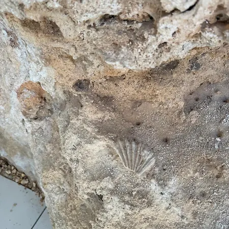 빌라 Luxury Beachfront With Pool & Private Parking 오스투니